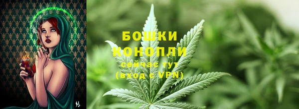 ГАЛЛЮЦИНОГЕННЫЕ ГРИБЫ Магадан