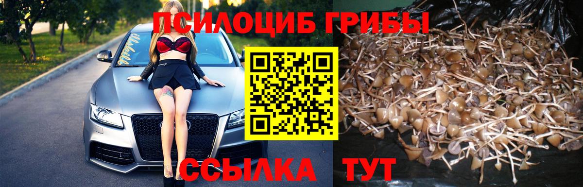 Псилоцибиновые грибы ЛСД Краснокамск