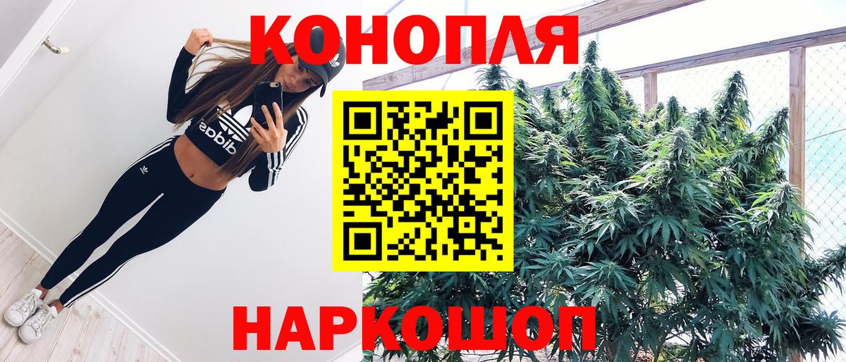 Бошки Шишки марихуана Краснокамск